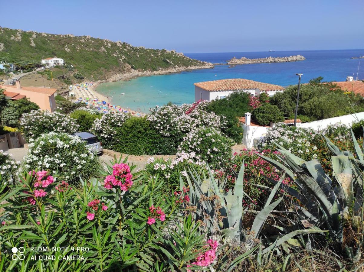 B&B Domus De Janas Santa Teresa di Gallura Esterno foto