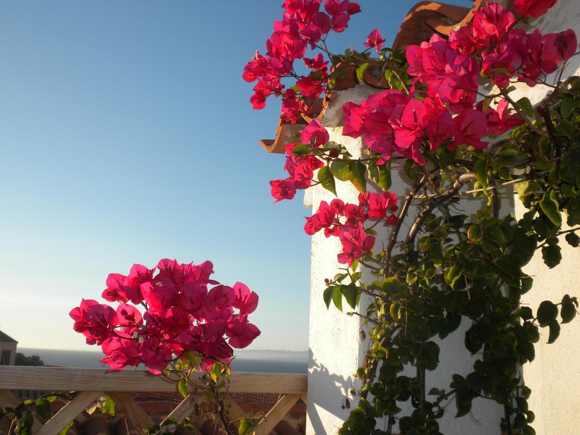 B&B Domus De Janas Santa Teresa di Gallura Esterno foto